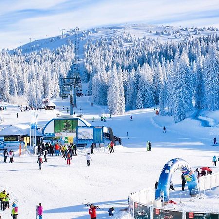 Forest View Apartments In Winterberg Sauerland Medebach Esterno foto