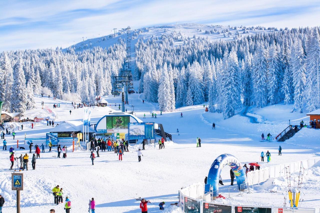 Forest View Apartments In Winterberg Sauerland Medebach Esterno foto